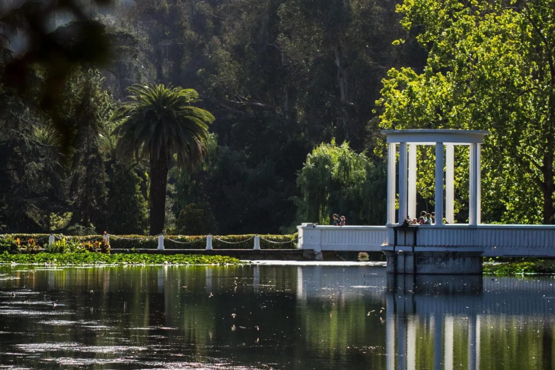 Jardín Botánico Nacional de Viña del Mar
