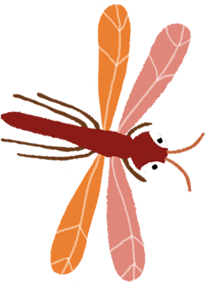 Libelula naranja